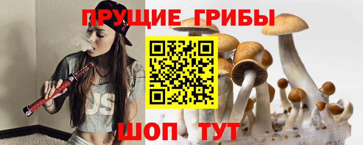 Псилоцибиновые грибы прущие грибы Советск