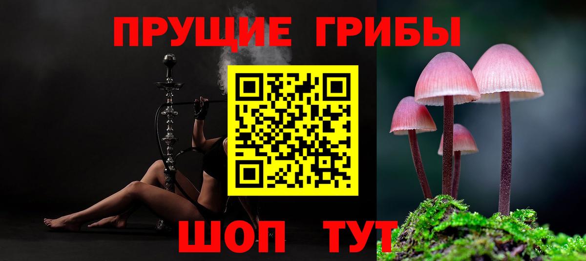 Советск  Галлюциногенные грибы мухоморы  Вход с VPN 